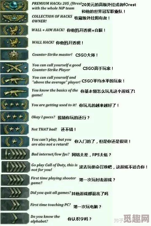 2025年CSGO热门段位排行:从高到低全新段位图解析 2025年CSGO热门段位排行:从高到低全新段位图解析