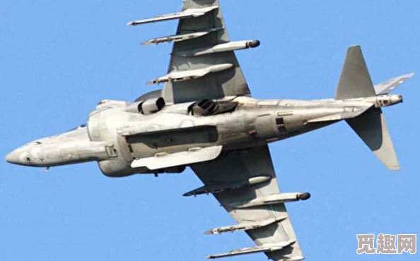 战争雷霆:金鹞式与幼虎对比分析,哪款更适合你? 战争雷霆:金鹞式与幼虎对比分析,哪款更适合你?