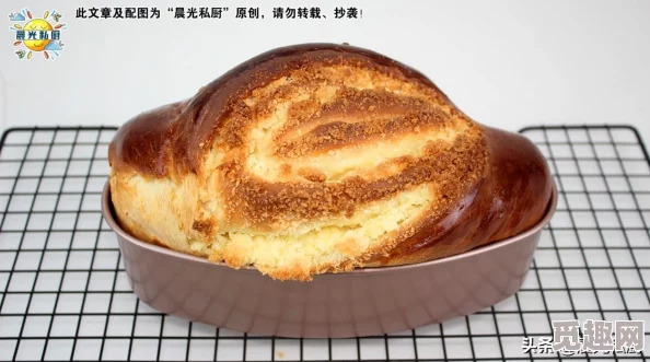 苏醒之路隐藏食谱制作攻略 | 详细步骤与技巧解析 苏醒之路隐藏食谱制作攻略 | 详细步骤与技巧解析