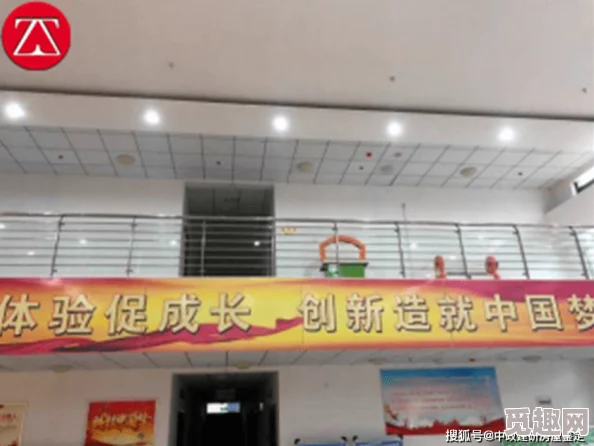 2025年Apex游戏安全新挑战：检测到游戏安全违法行为的应对策略