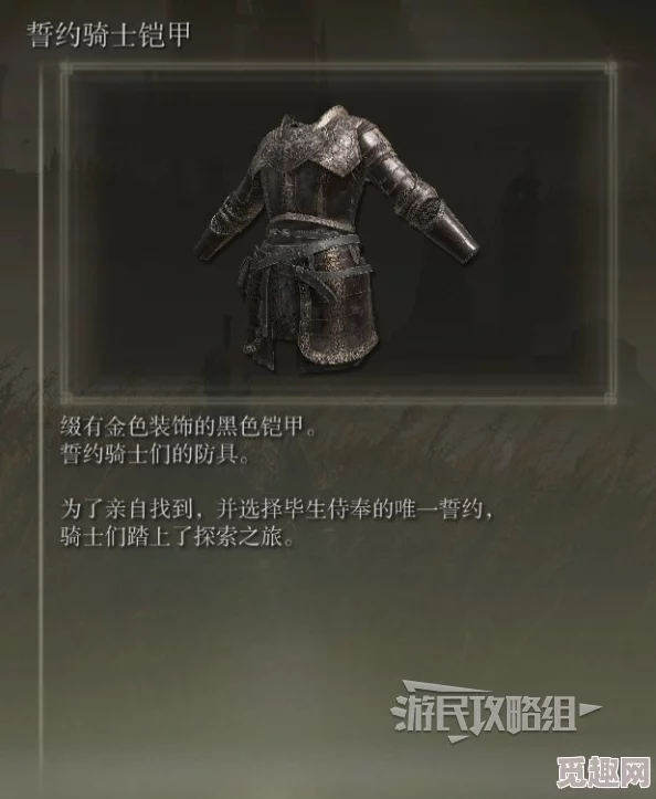 2025年热门游戏装备解析：艾尔登法环铠甲图鉴分享——布制上衣新潮流