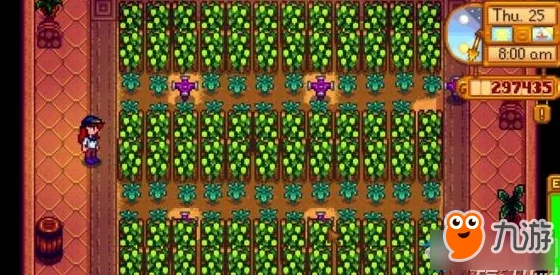 2025年热门指南：星露谷物语啤酒花哪里买最便宜攻略