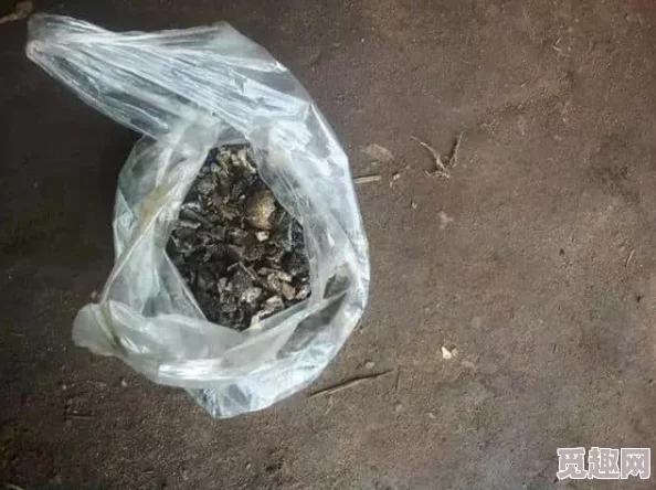 2025年DNF游戏指南：土罐的罐子最新购买渠道与热门活动详解