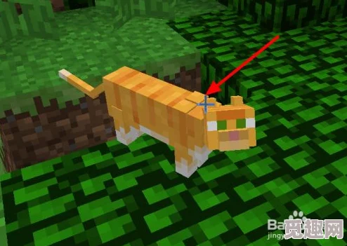 2025年我的世界高效抓猫技巧与最新养猫玩法解析 2025年我的世界高效抓猫技巧与最新养猫玩法解析