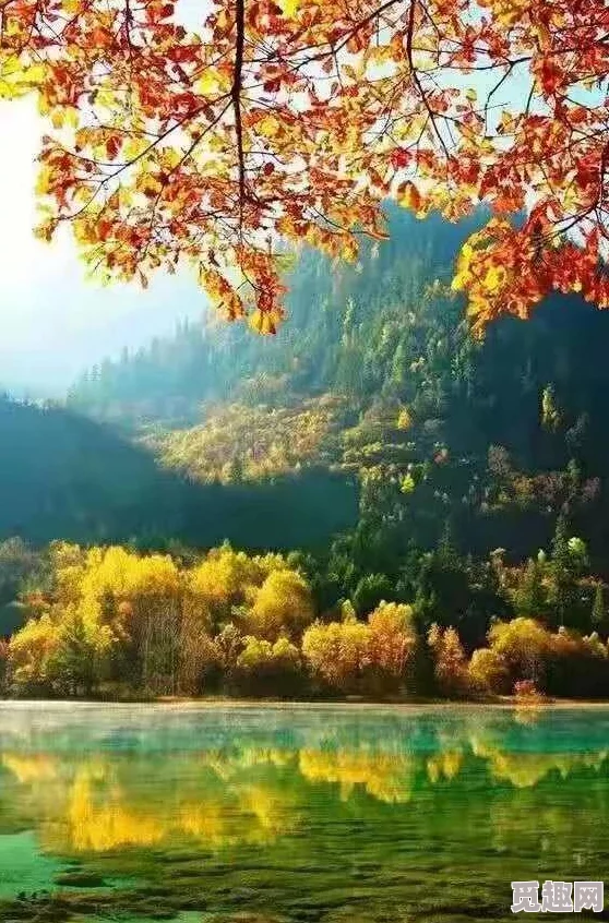 2025年《NBA Live 08》复古攻略心得与现代篮球元素综合汇总分享 2025年《NBA Live 08》复古攻略心得与现代篮球元素综合汇总分享