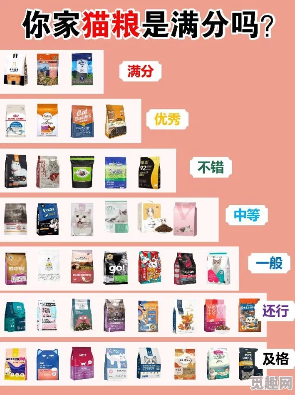 2025年Dota2天梯积分与最新热门段位对应关系详解