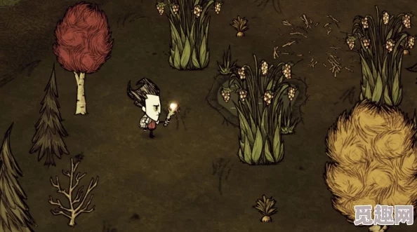 2025饥荒联机版热门问题与解决方案_2024-2025常见问题汇总大全