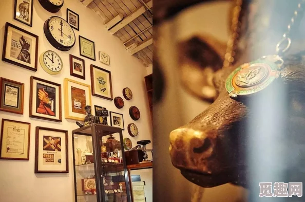 2025年饥荒游戏新技巧:高效接取与投掷回旋镖方法指南 2025年饥荒游戏新技巧:高效接取与投掷回旋镖方法指南