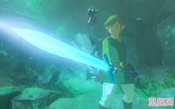 2025年游戏趋势:塞尔达传说旷野之息大师剑全新获取攻略揭秘 2025年游戏趋势:塞尔达传说旷野之息大师剑全新获取攻略揭秘