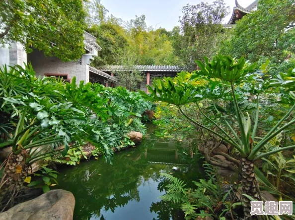 2025年魔兽世界龙鳞天使鱼的用途与最新收藏价值 2025年魔兽世界龙鳞天使鱼的用途与最新收藏价值