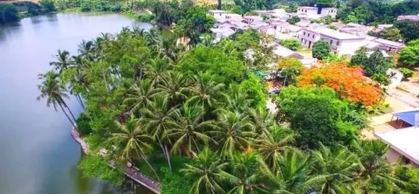 2025年热门指南:魔兽世界龙鳞天使鱼最新垂钓地点与技巧揭秘 2025年热门指南:魔兽世界龙鳞天使鱼最新垂钓地点与技巧揭秘