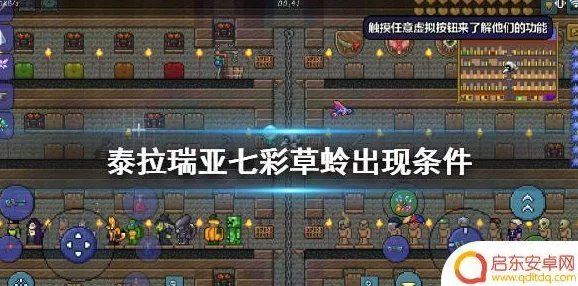 2025年泰拉瑞亚热门探索:七彩草蛉最新出现位置与捕捉攻略 2025年泰拉瑞亚热门探索:七彩草蛉最新出现位置与捕捉攻略