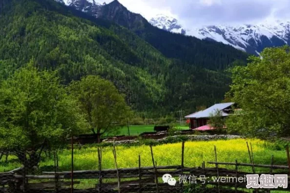 2025年热门探索:天国拯救神圣之地全攻略,揭秘恶魔头骨最新位置在哪? 2025年热门探索:天国拯救神圣之地全攻略,揭秘恶魔头骨最新位置在哪?