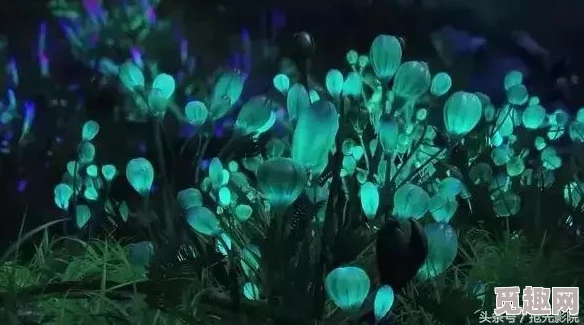 2025热门游戏攻略:英雄萨姆4第七章详解及全章节通关全收集指南 2025热门游戏攻略:英雄萨姆4第七章详解及全章节通关全收集指南