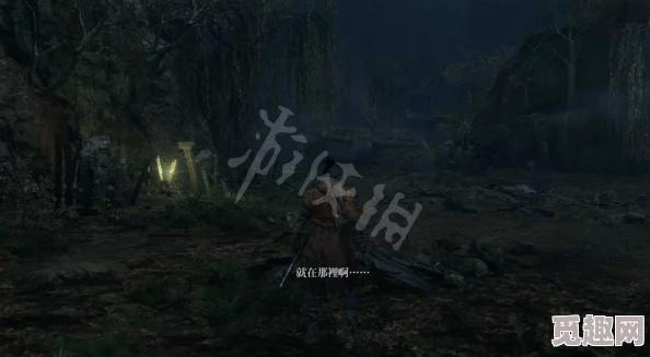 2025游戏攻略新解:只狼影逝二度水生凛支线任务高效完成指南 2025游戏攻略新解:只狼影逝二度水生凛支线任务高效完成指南