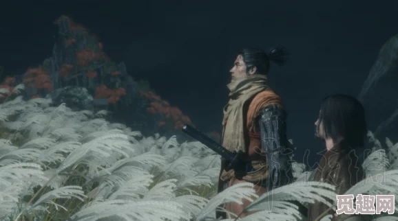 2025游戏攻略新解:只狼影逝二度水生凛支线任务高效完成指南 2025游戏攻略新解:只狼影逝二度水生凛支线任务高效完成指南