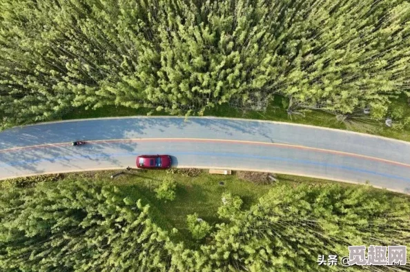 2025热门游戏推荐:死亡岛2在Steam平台的正式命名揭秘 2025热门游戏推荐:死亡岛2在Steam平台的正式命名揭秘